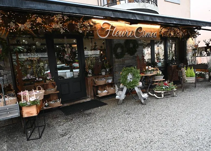 Cozy With Mountain Views アパート シャモニー