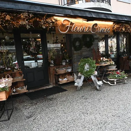 Cozy With Mountain Views Апартаменты Шамони